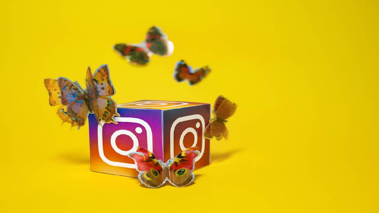 SOCIAL MEDIA PLATFORM - INSTAGRAM